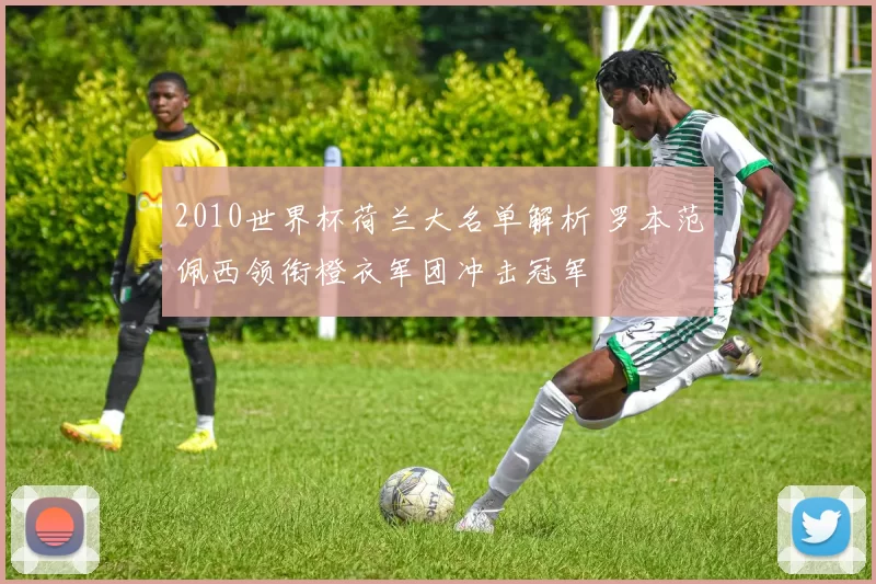 2010世界杯荷兰大名单解析 罗本范佩西领衔橙衣军团冲击冠军