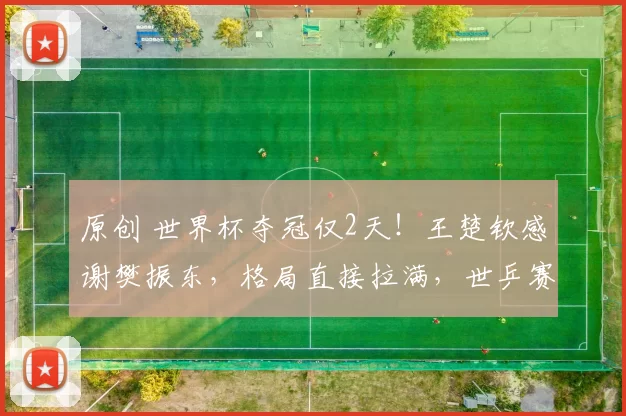 原创 世界杯夺冠仅2天!王楚钦感谢樊振东,格局直接拉满,世乒赛名单即将曝光