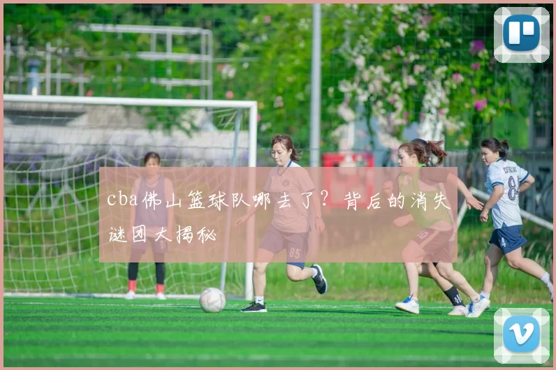 cba佛山篮球队哪去了？背后的消失谜团大揭秘