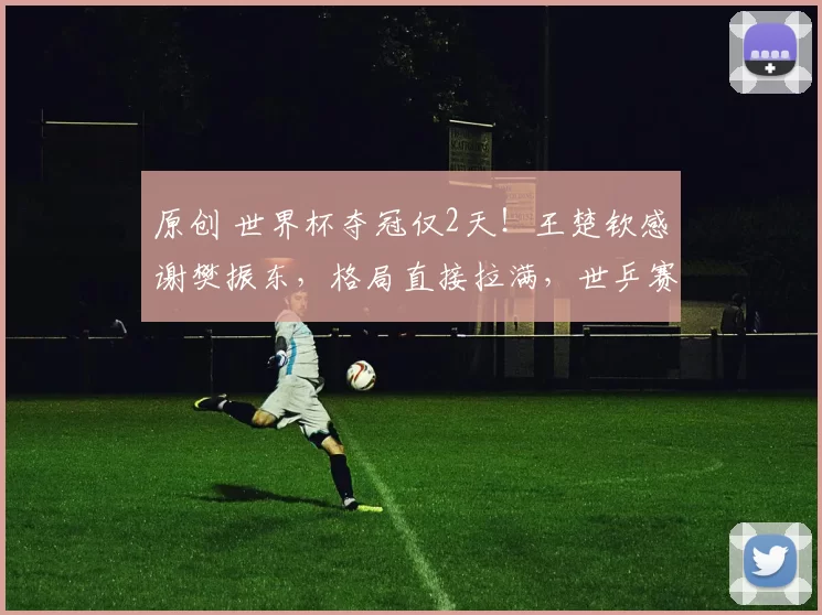 原创 世界杯夺冠仅2天!王楚钦感谢樊振东,格局直接拉满,世乒赛名单即将曝光