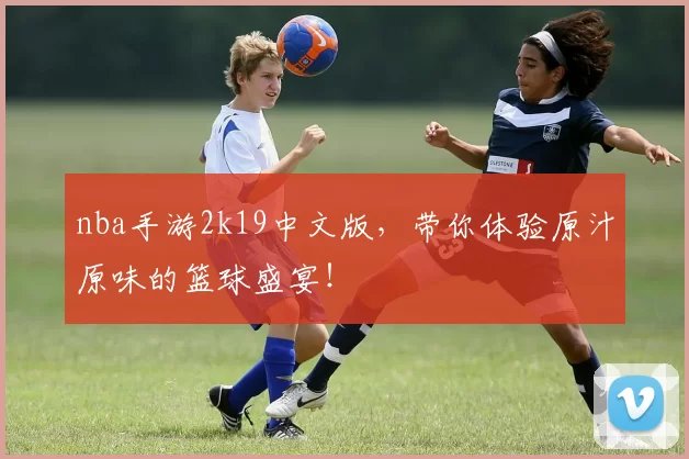 nba手游2k19中文版，带你体验原汁原味的篮球盛宴！